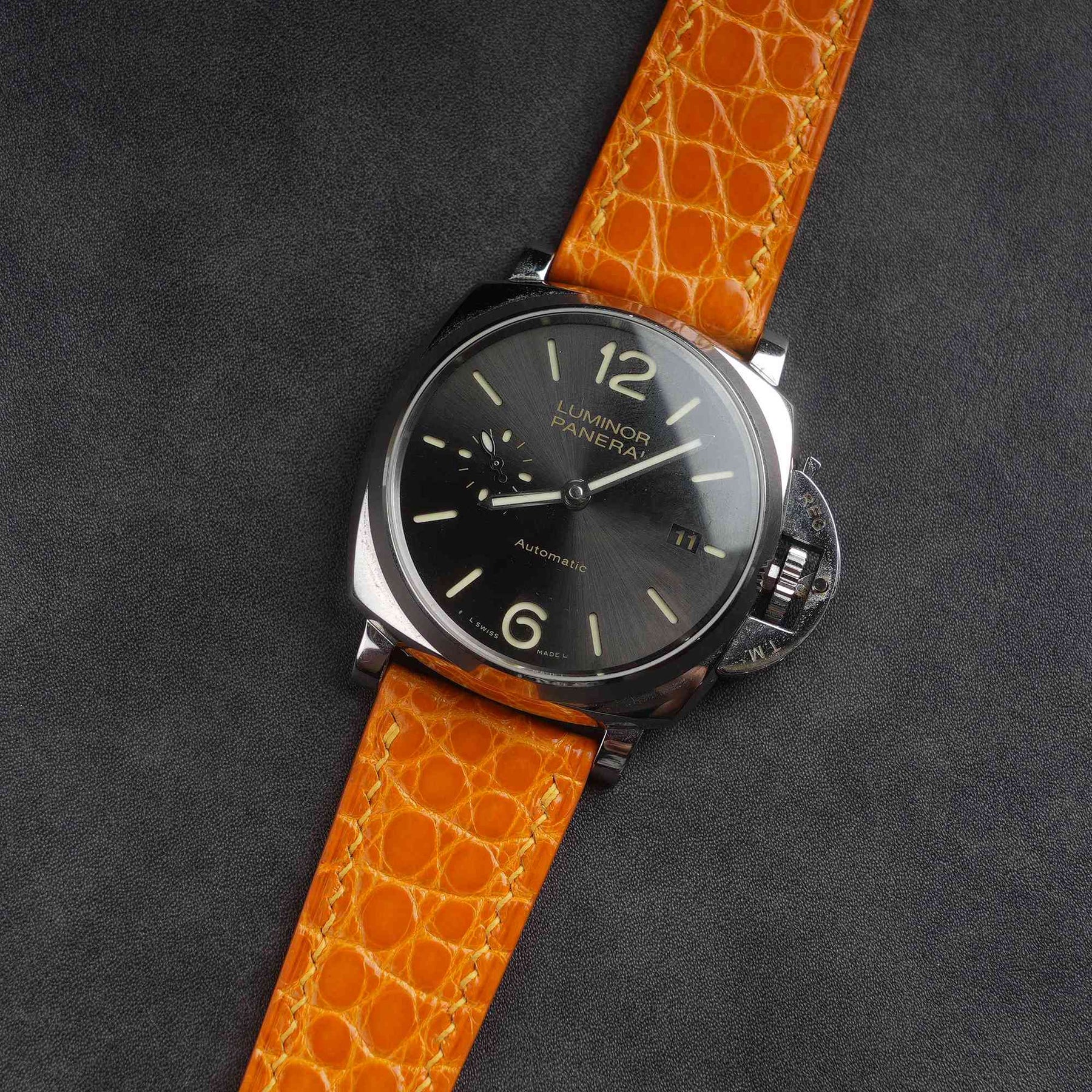 【Mississippi Alligator】Citrus Belly Prestige Strap