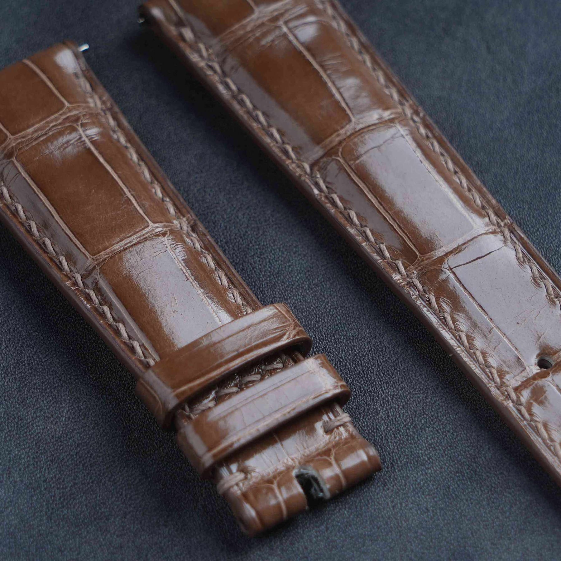 【Mississippi Alligator】Cappuccino Glossy Belly Prestige Strap - AB058