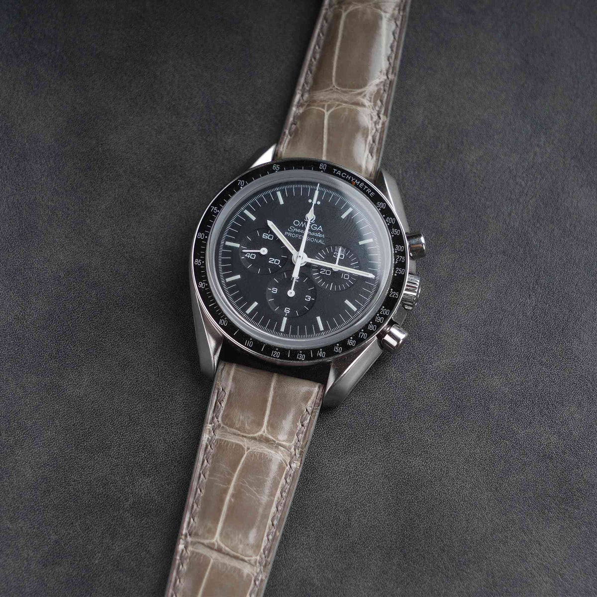 【Mississippi Alligator】Elephant Grey Glossy Belly Prestige Watch Strap - AB057